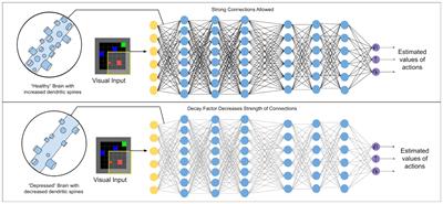 Simulated synapse loss induces depression-like behaviors in deep reinforcement learning